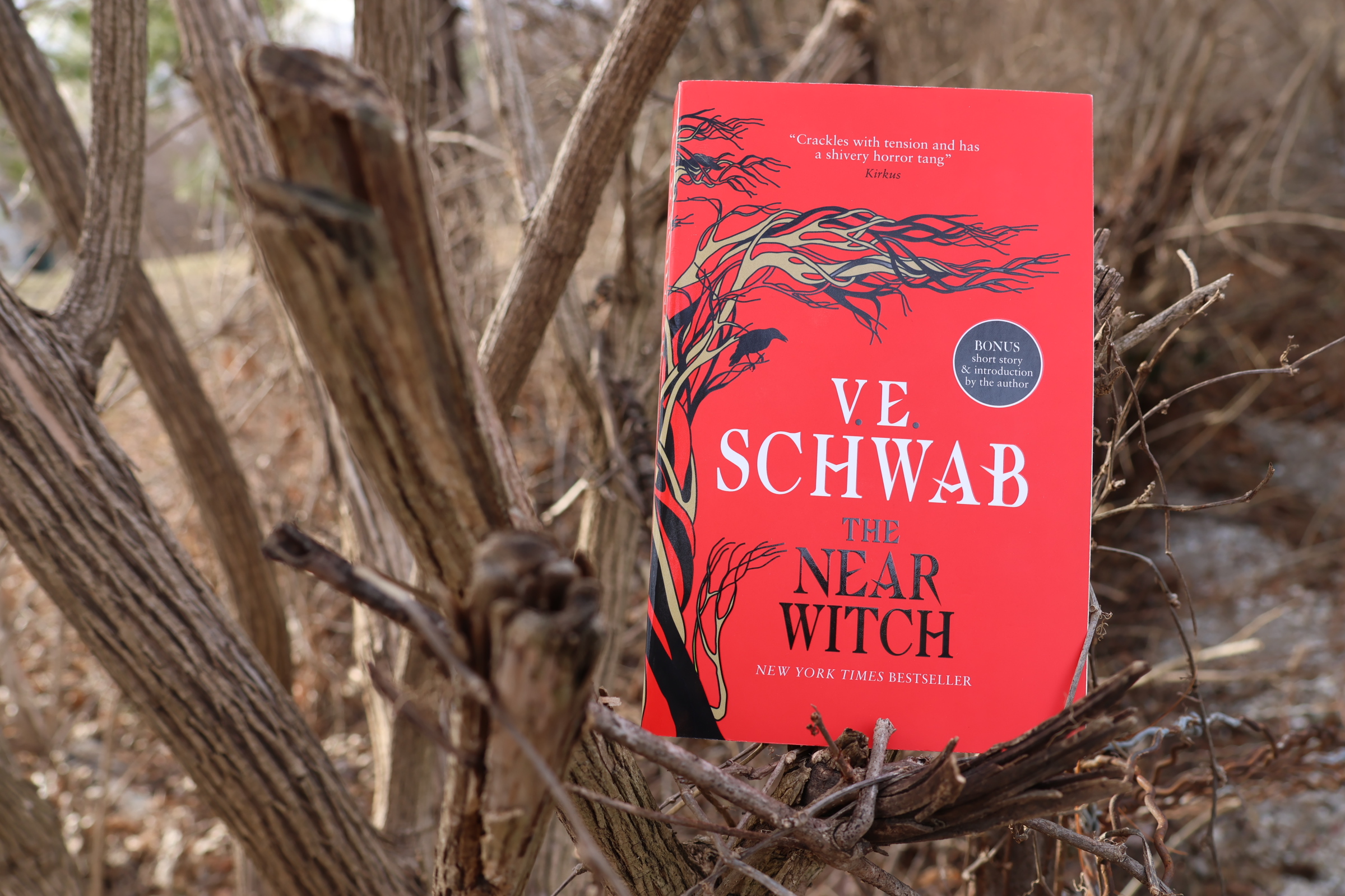 Review of The Near Witch by V.E. Schwab