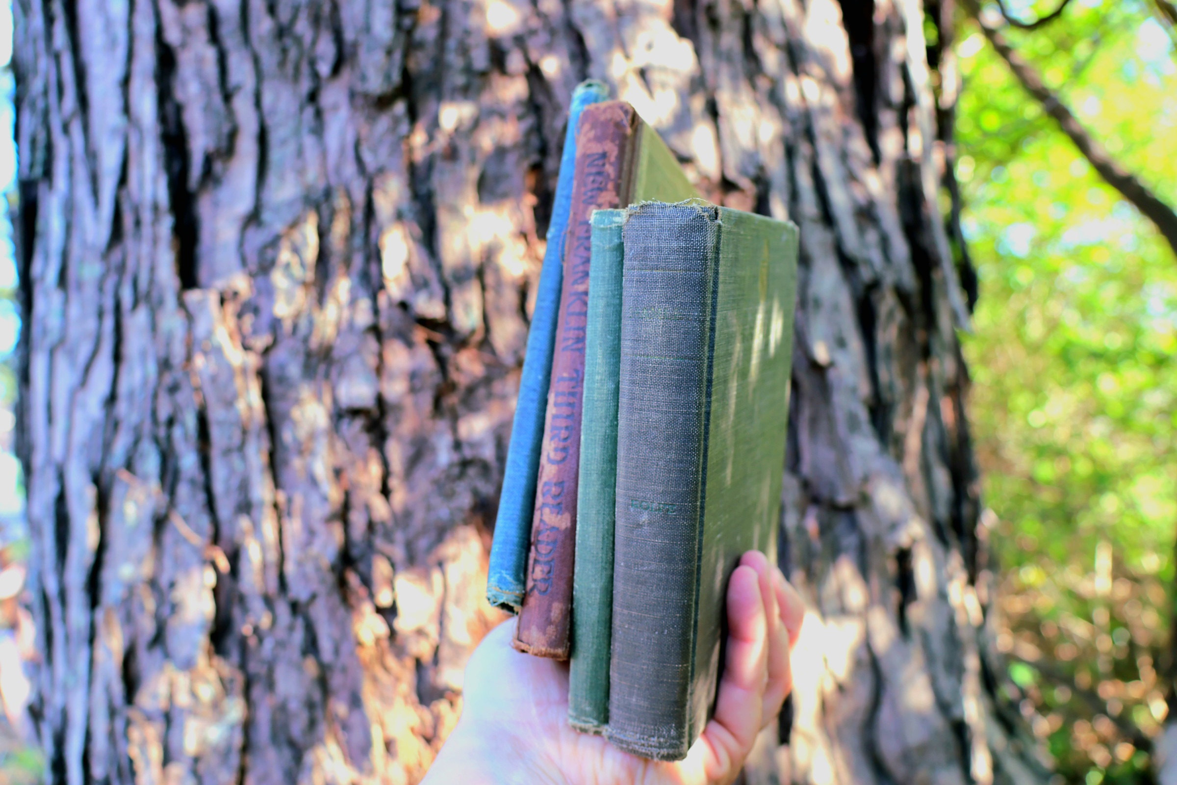 Review of My Husband’s Wife by Alice Feeney
