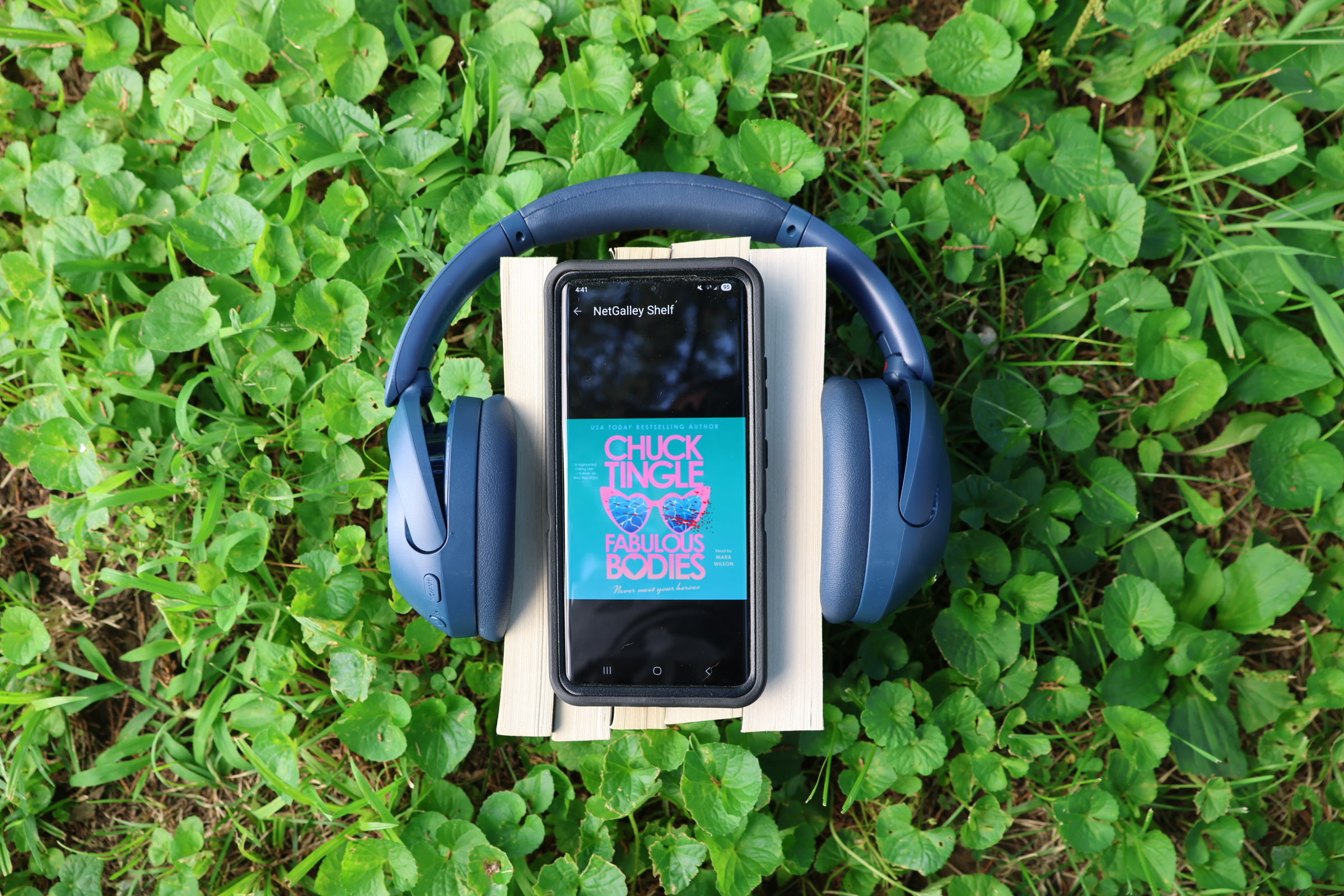 Review of Fabulous Bodies by Chuck Tingle